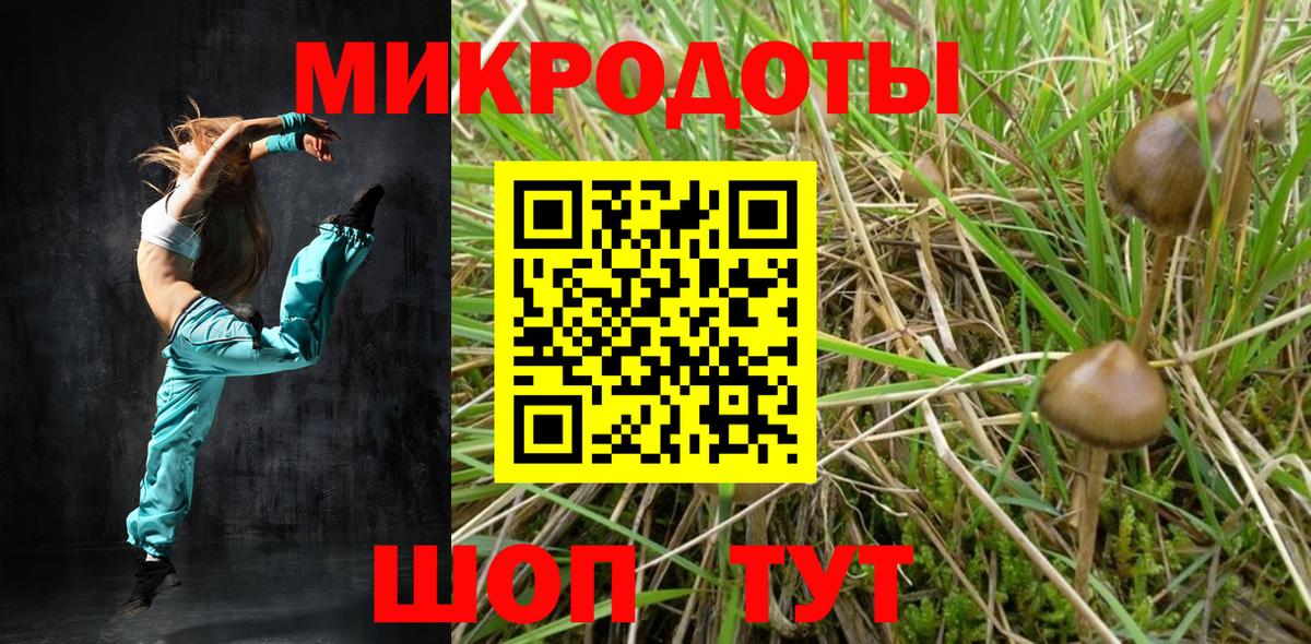Галлюциногенные грибы мухоморы Великий Устюг